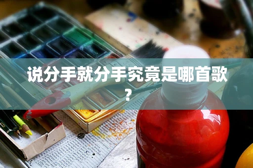 说分手就分手究竟是哪首歌？