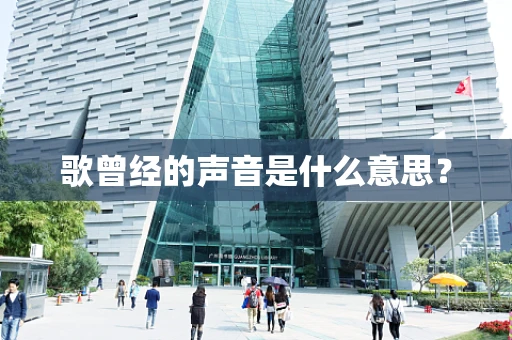 歌曾经的声音是什么意思？