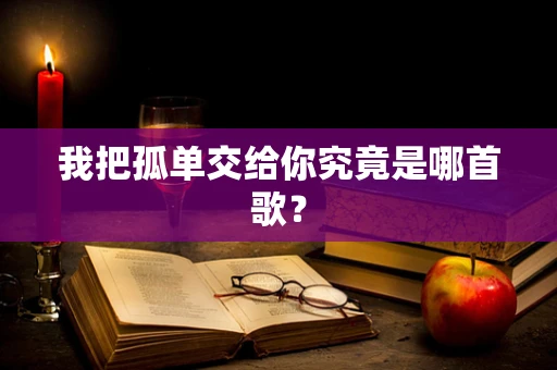 我把孤单交给你究竟是哪首歌？