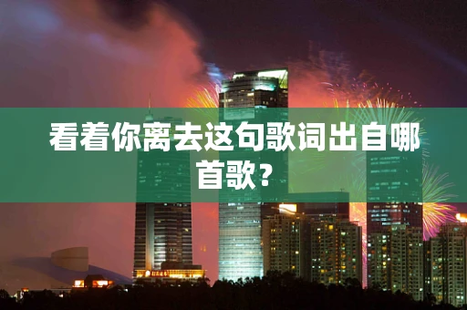 看着你离去这句歌词出自哪首歌？