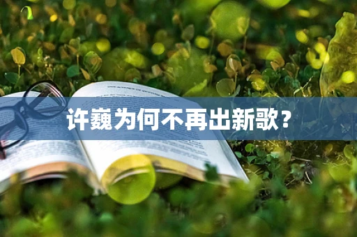 许巍为何不再出新歌？
