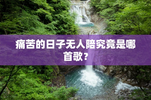 痛苦的日子无人陪究竟是哪首歌？
