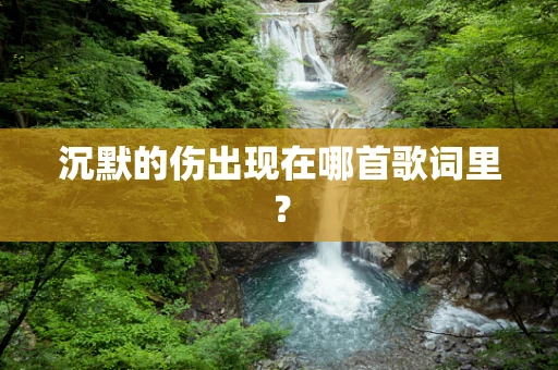 沉默的伤出现在哪首歌词里？