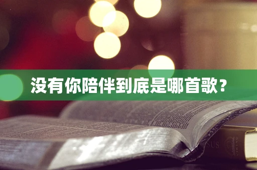 没有你陪伴到底是哪首歌？
