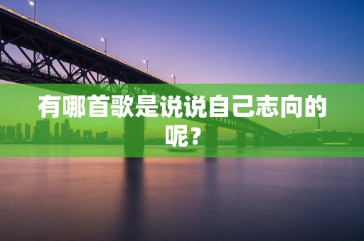 有哪首歌是说说自己志向的呢？