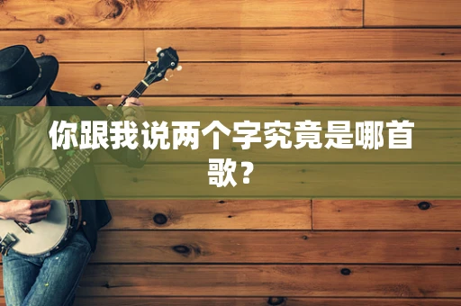 你跟我说两个字究竟是哪首歌？