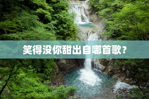 笑得没你甜出自哪首歌？
