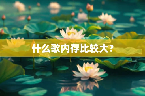 什么歌内存比较大？