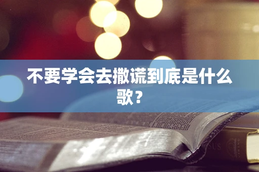 不要学会去撒谎到底是什么歌？