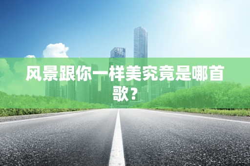 风景跟你一样美究竟是哪首歌？