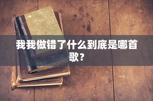 我我做错了什么到底是哪首歌？