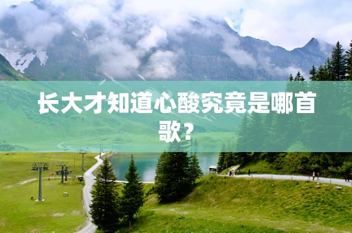 长大才知道心酸究竟是哪首歌？