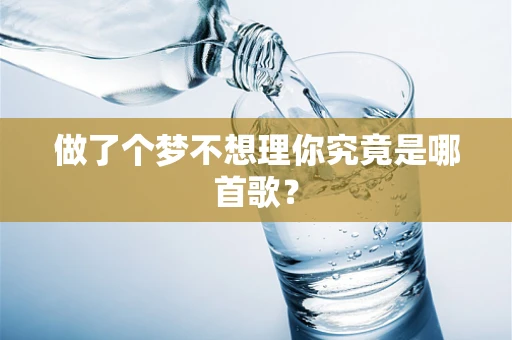 做了个梦不想理你究竟是哪首歌？