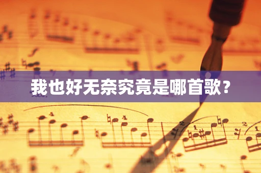 我也好无奈究竟是哪首歌？