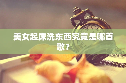 美女起床洗东西究竟是哪首歌？