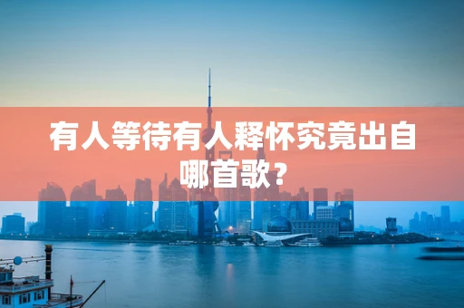 有人等待有人释怀究竟出自哪首歌？
