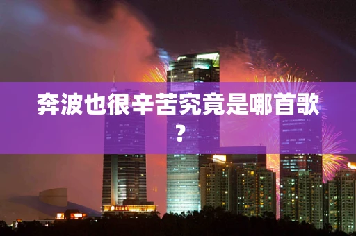 奔波也很辛苦究竟是哪首歌？