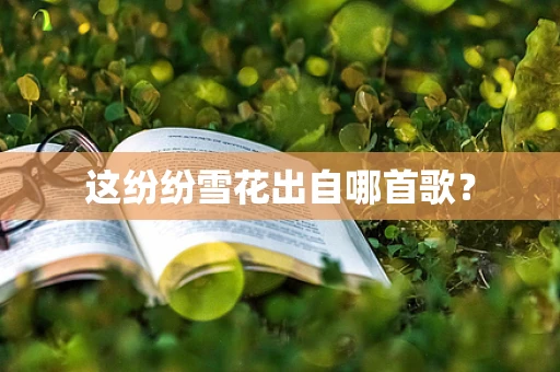 这纷纷雪花出自哪首歌？