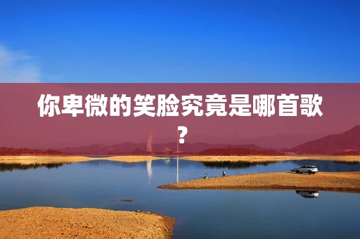 你卑微的笑脸究竟是哪首歌？