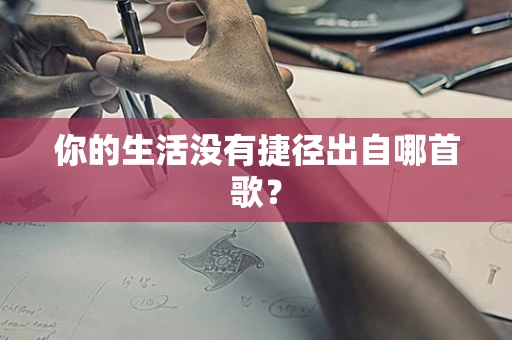 你的生活没有捷径出自哪首歌？