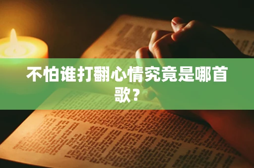 不怕谁打翻心情究竟是哪首歌？