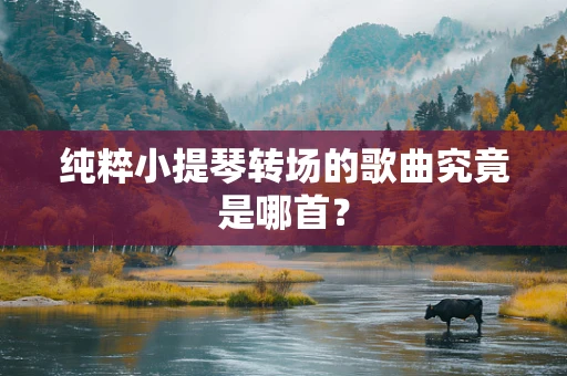 纯粹小提琴转场的歌曲究竟是哪首？