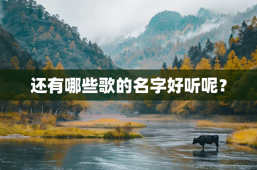 还有哪些歌的名字好听呢？