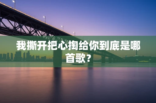 我撕开把心掏给你到底是哪首歌？