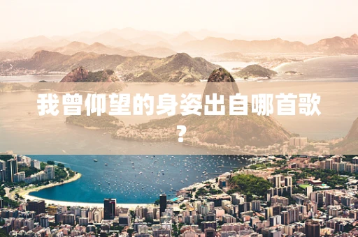 我曾仰望的身姿出自哪首歌？