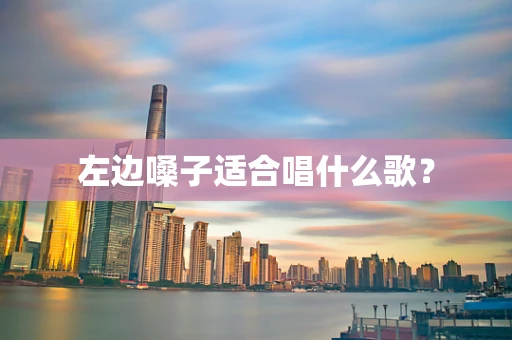 左边嗓子适合唱什么歌？