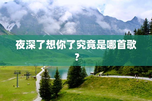 夜深了想你了究竟是哪首歌？