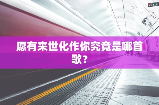 愿有来世化作你究竟是哪首歌？