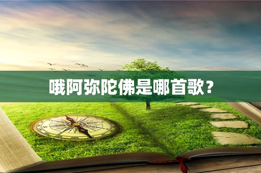 哦阿弥陀佛是哪首歌？