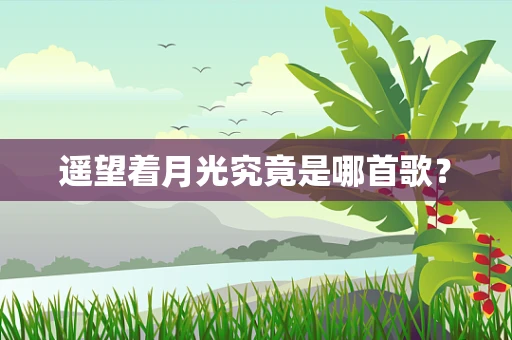 遥望着月光究竟是哪首歌？