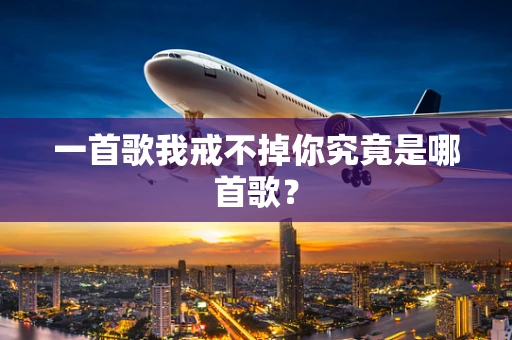 一首歌我戒不掉你究竟是哪首歌？