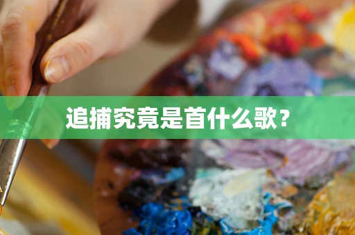 追捕究竟是首什么歌？