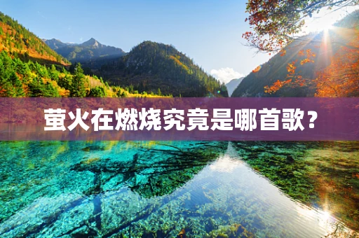 萤火在燃烧究竟是哪首歌？