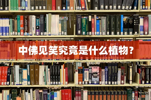 中佛见笑究竟是什么植物？
