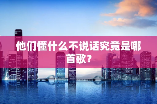 他们懂什么不说话究竟是哪首歌？