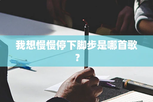 我想慢慢停下脚步是哪首歌？