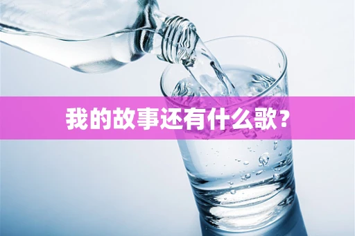 我的故事还有什么歌？