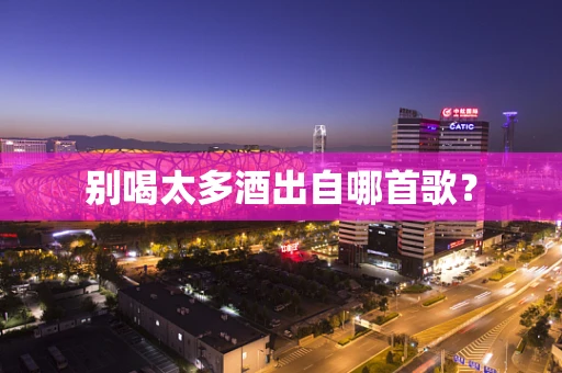 别喝太多酒出自哪首歌？