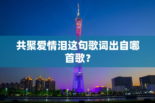 共聚爱情泪这句歌词出自哪首歌？
