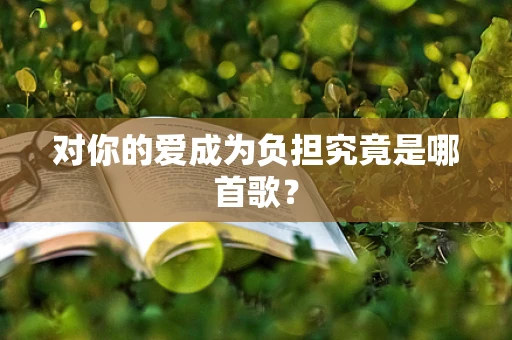 对你的爱成为负担究竟是哪首歌？