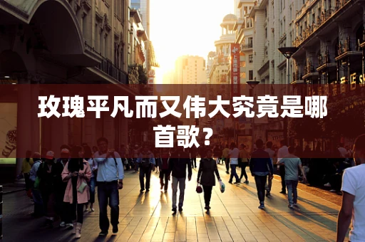 玫瑰平凡而又伟大究竟是哪首歌？