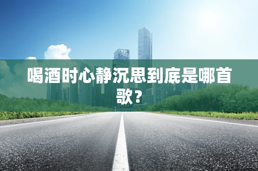 喝酒时心静沉思到底是哪首歌？