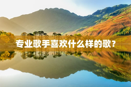 专业歌手喜欢什么样的歌？