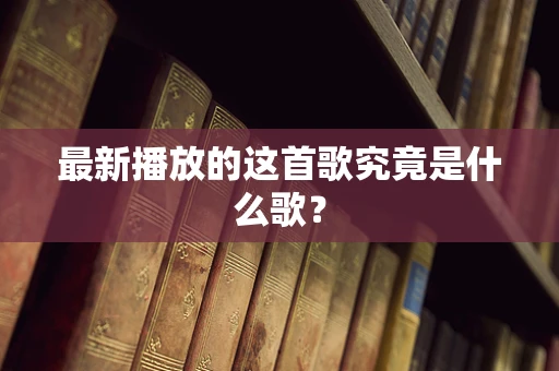最新播放的这首歌究竟是什么歌？