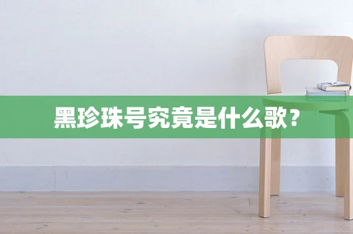 黑珍珠号究竟是什么歌？