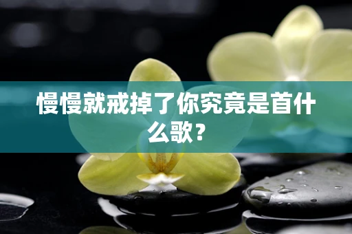 慢慢就戒掉了你究竟是首什么歌？